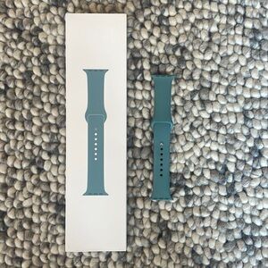 Apple Watch Sport Band: 40mm Cactus